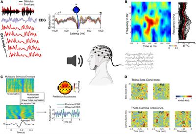 On the Role of Neural Oscillations Across Timescales in Speech and Music Processing